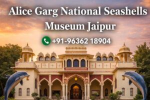 Alice Garg National Seashells Museum Jaipur