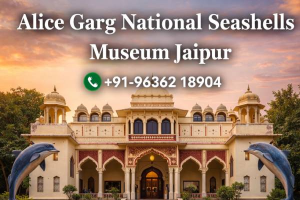 Alice Garg National Seashells Museum Jaipur